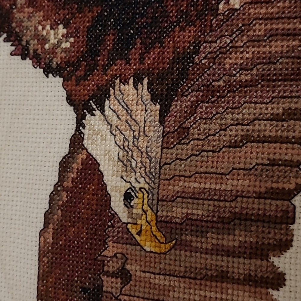Vintage Flying Eagle Finished Cross Stitch Sampler - Picture 2 of 15